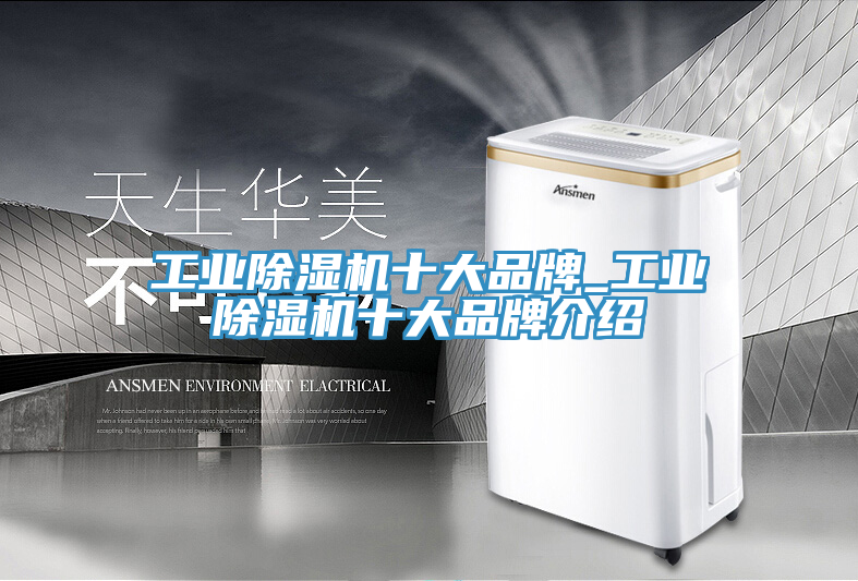 亚洲乱码一区二区三区 工业除湿机十大品牌_工业除湿机十大品牌介绍