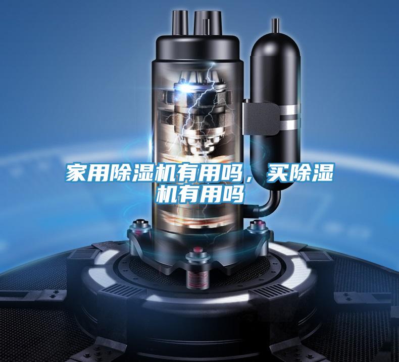 亚洲欧美一级特黄大片 家用除湿机有用吗，买除湿机有用吗