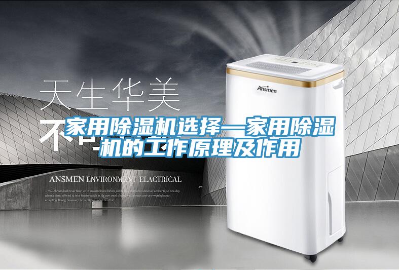 亚洲欧美一级特黄大片 家用除湿机选择—家用除湿机的工作原理及作用