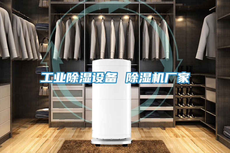 亚洲人成综合第一网站 工业除湿设备 除湿机厂家