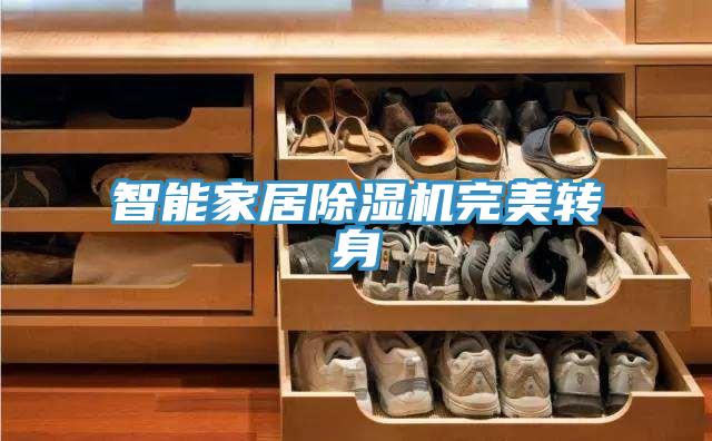 亚洲欧美一级特黄大片 智能家居除湿机完美转身
