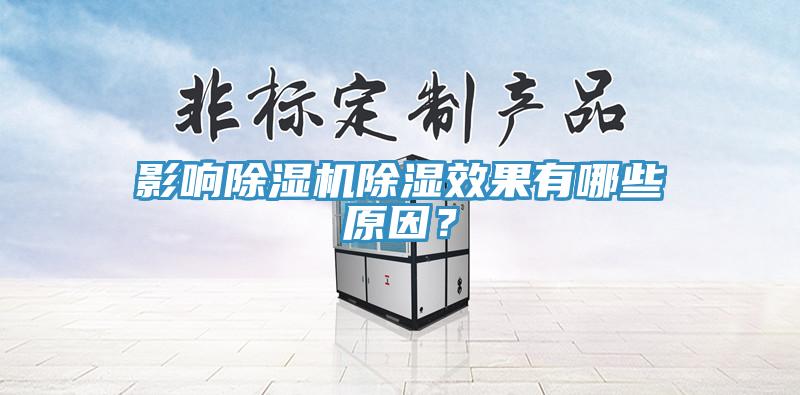 亚洲人成综合第一网站 影响除湿机除湿效果有哪些原因？