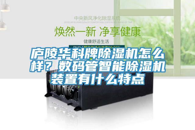 亚洲欧美一级特黄大片 庐陵华科牌除湿机怎么样？数码管智能除湿机装置有什么特点