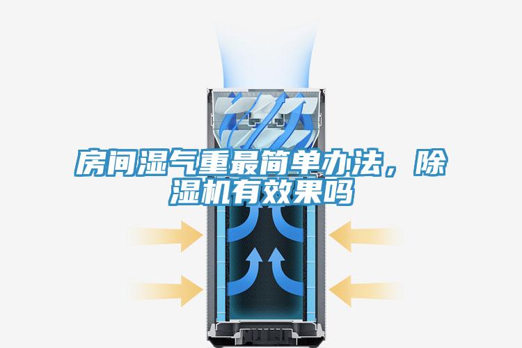 亚洲人成综合第一网站 房间湿气重最简单办法，除湿机有效果吗