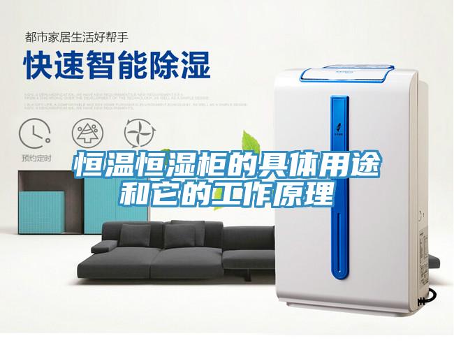 亚洲人成综合第一网站 恒温恒湿柜的具体用途和它的工作原理