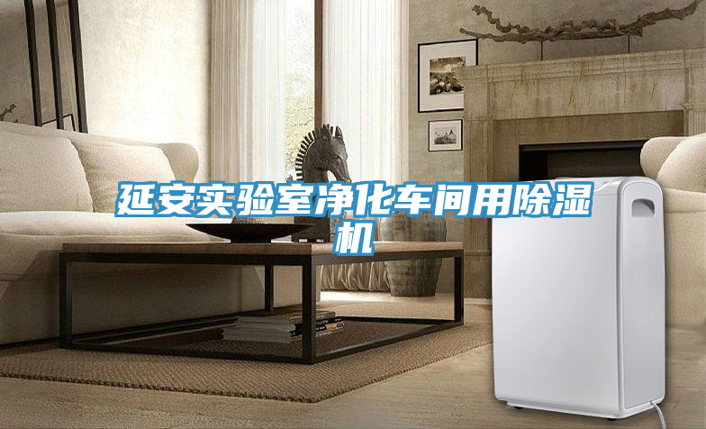 亚洲乱码一区二区三区 延安实验室净化车间用除湿机