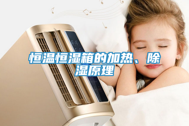 亚洲乱码一区二区三区 恒温恒湿箱的加热、除湿原理