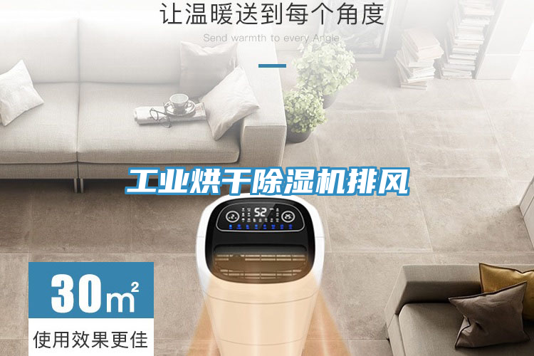 亚洲欧美一级特黄大片 工业烘干除湿机排风