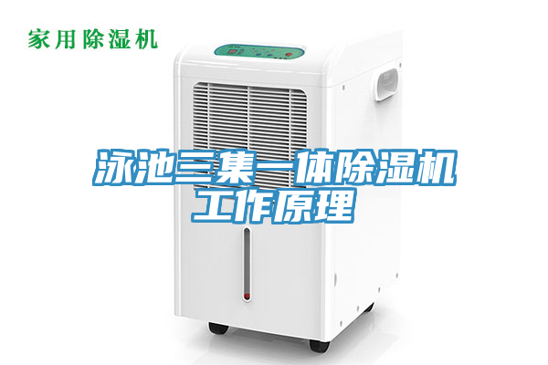 亚洲欧美一级特黄大片 泳池三集一体除湿机工作原理