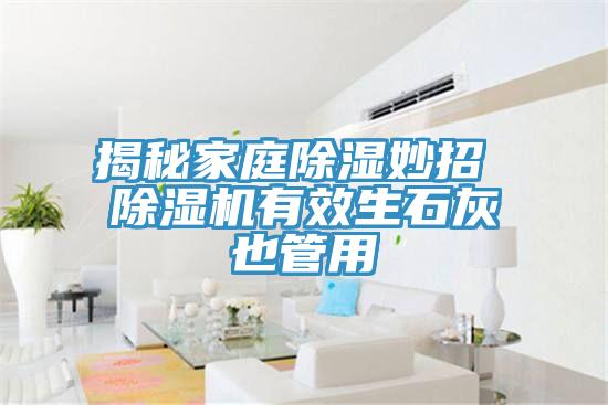 亚洲人成综合第一网站 揭秘家庭除湿妙招 除湿机有效生石灰也管用