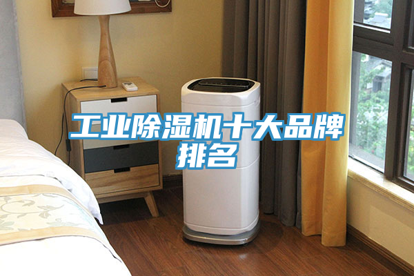 亚洲人成综合第一网站 工业除湿机十大品牌排名
