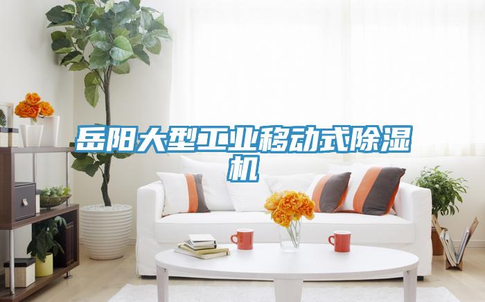 亚洲人成综合第一网站 岳阳大型工业移动式除湿机