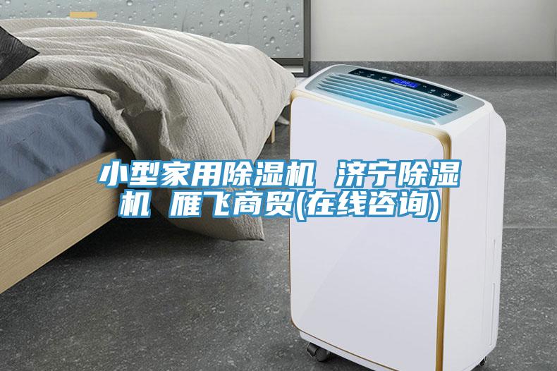 亚洲人成综合第一网站 小型家用除湿机 济宁除湿机 雁飞商贸(在线咨询)