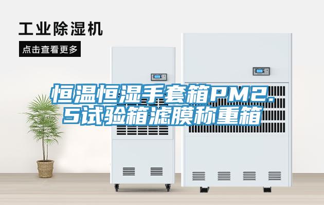亚洲人成综合第一网站 恒温恒湿手套箱PM2.5试验箱滤膜称重箱