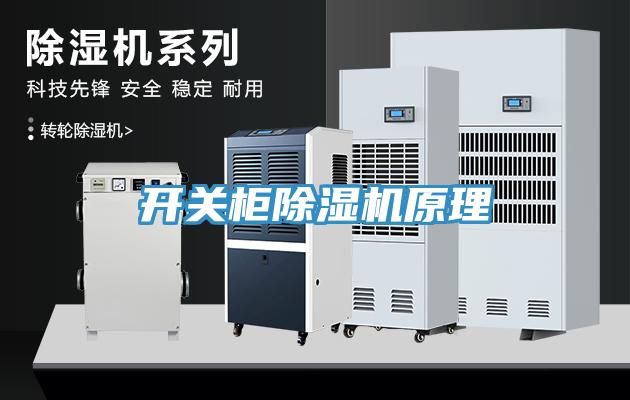亚洲人成综合第一网站 开关柜除湿机原理