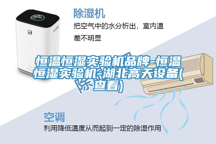 亚洲欧美一级特黄大片 恒温恒湿实验机品牌-恒温恒湿实验机-湖北高天设备(查看)
