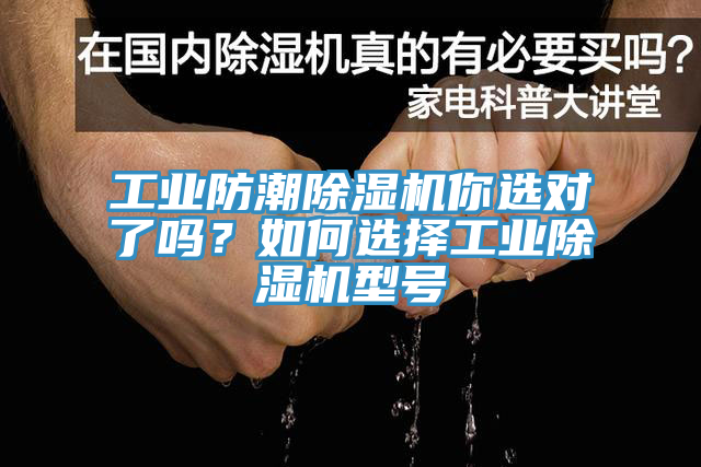 亚洲欧美一级特黄大片 工业防潮除湿机你选对了吗？如何选择工业除湿机型号