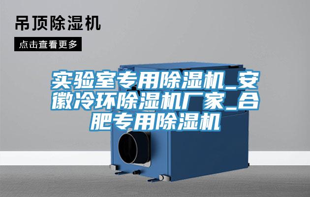 亚洲人成综合第一网站 实验室专用除湿机_安徽冷环除湿机厂家_合肥专用除湿机