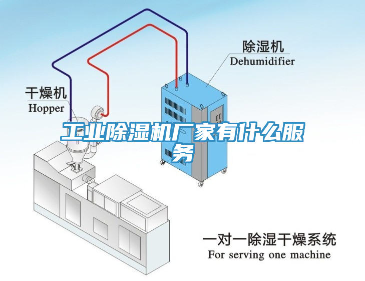 亚洲乱码一区二区三区 工业除湿机厂家有什么服务