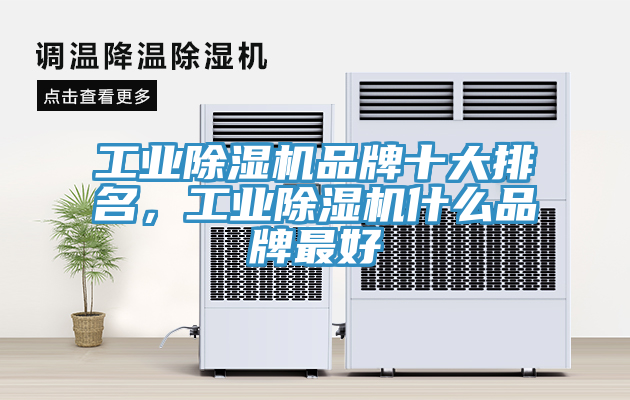 亚洲人成综合第一网站 工业除湿机品牌十大排名，工业除湿机什么品牌最好