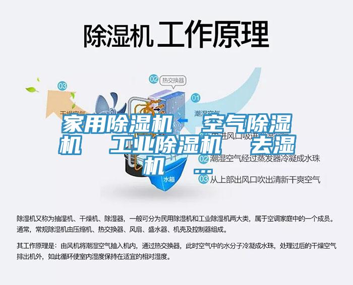 亚洲人成综合第一网站 家用除湿机  空气除湿机  工业除湿机  去湿机  ...