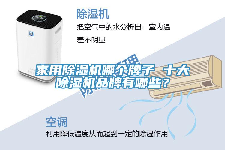 亚洲人成综合第一网站 家用除湿机哪个牌子 十大除湿机品牌有哪些？