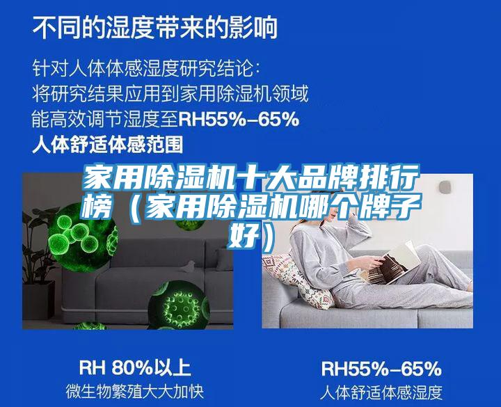 亚洲欧美一级特黄大片 家用除湿机十大品牌排行榜（家用除湿机哪个牌子好）