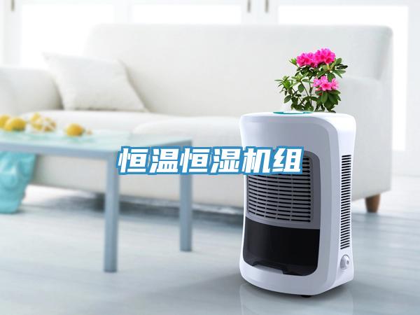 恒温恒湿机组