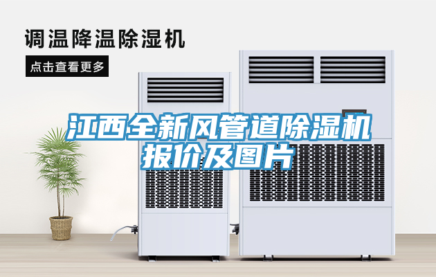 亚洲欧美一级特黄大片 江西全新风管道除湿机报价及图片