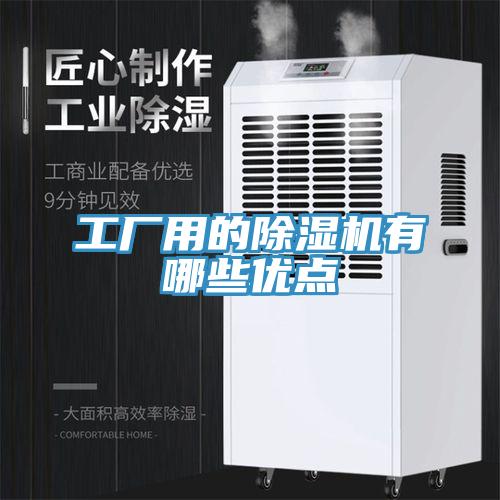 亚洲欧美一级特黄大片 工厂用的除湿机有哪些优点