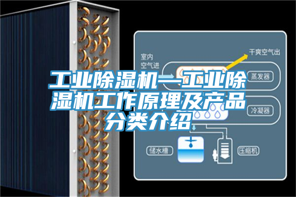 亚洲乱码一区二区三区 工业除湿机—工业除湿机工作原理及产品分类介绍