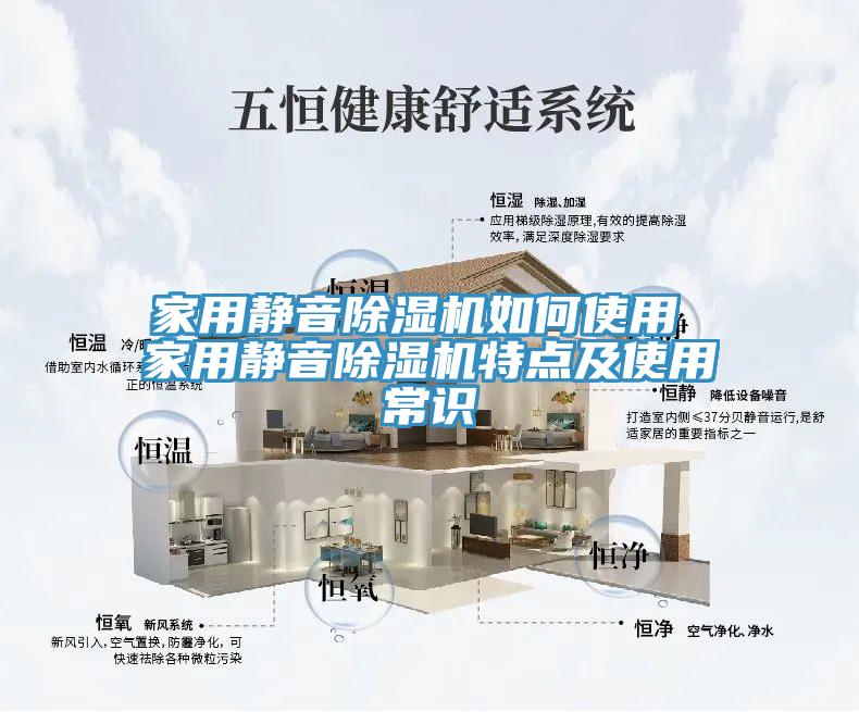 亚洲欧美一级特黄大片 家用静音除湿机如何使用 家用静音除湿机特点及使用常识