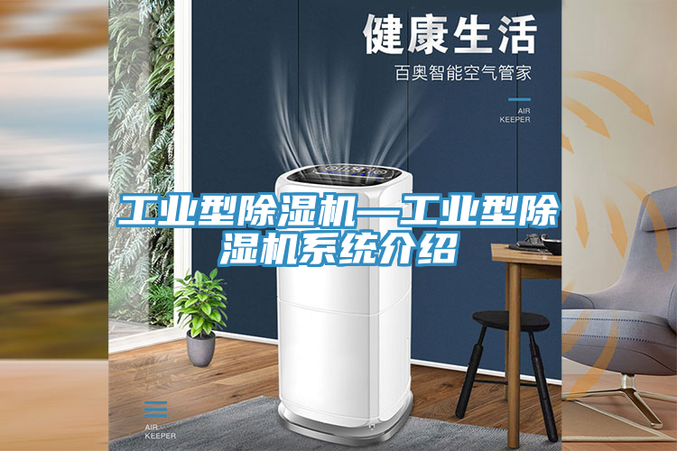 亚洲欧美一级特黄大片 工业型除湿机—工业型除湿机系统介绍