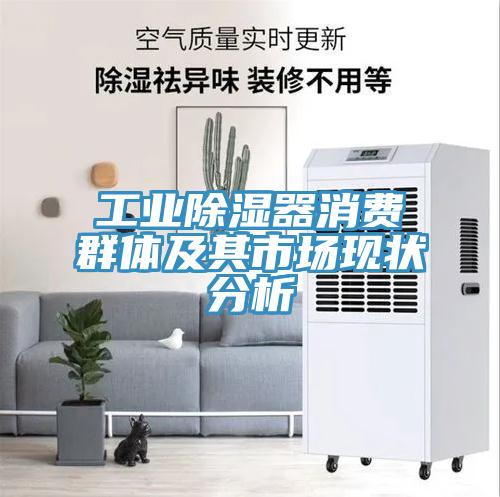 亚洲欧美一级特黄大片 工业除湿器消费群体及其市场现状分析