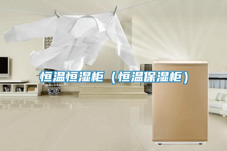亚洲欧美一级特黄大片 恒温恒湿柜（恒温保湿柜）