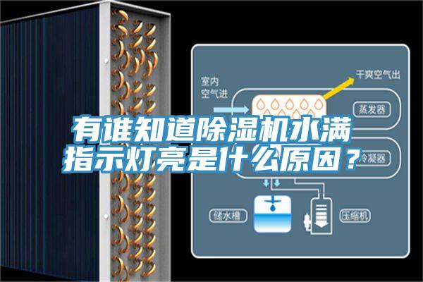 亚洲人成综合第一网站 有谁知道除湿机水满指示灯亮是什么原因？
