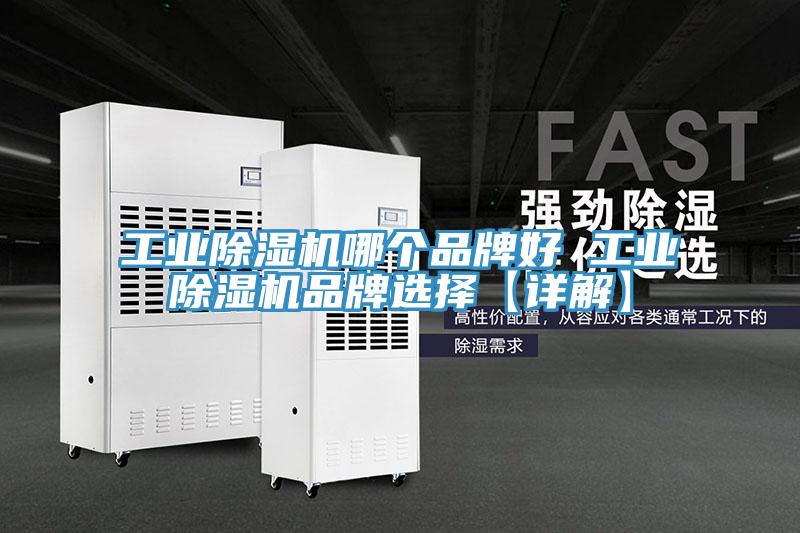 亚洲欧美一级特黄大片 工业除湿机哪个品牌好 工业除湿机品牌选择【详解】