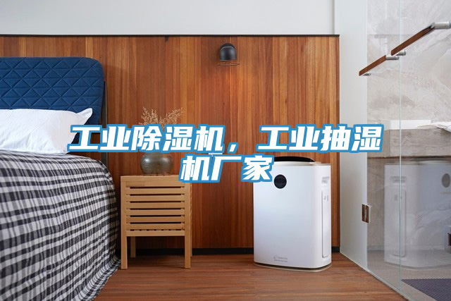亚洲欧美一级特黄大片 工业除湿机，工业抽湿机厂家