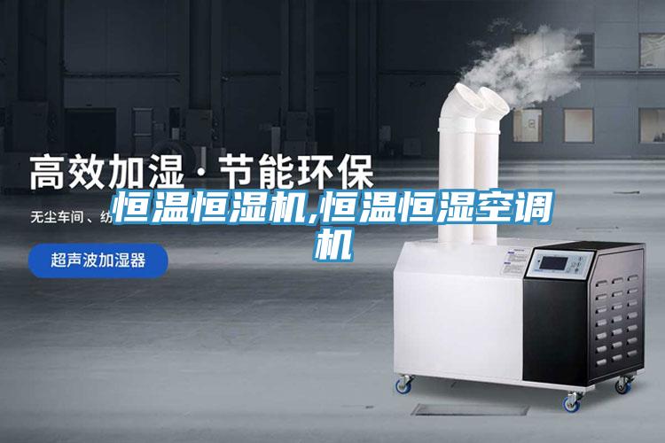 亚洲欧美一级特黄大片 恒温恒湿机,恒温恒湿空调机