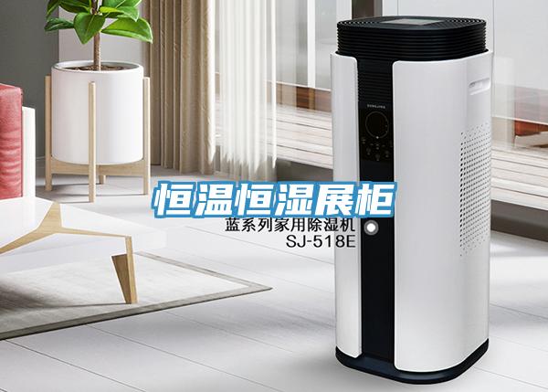 恒温恒湿展柜