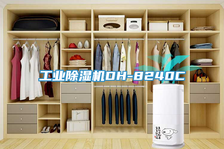 亚洲欧美一级特黄大片 工业除湿机DH-8240C