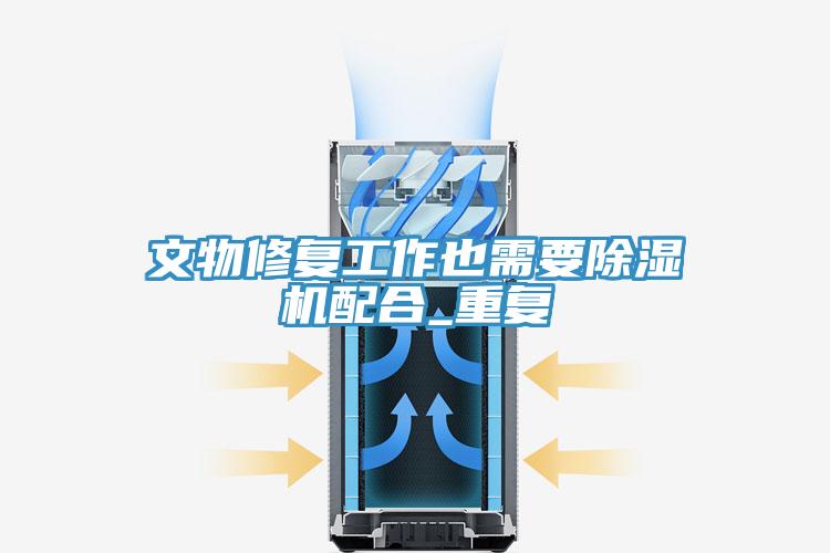 亚洲欧美一级特黄大片 文物修复工作也需要除湿机配合_重复