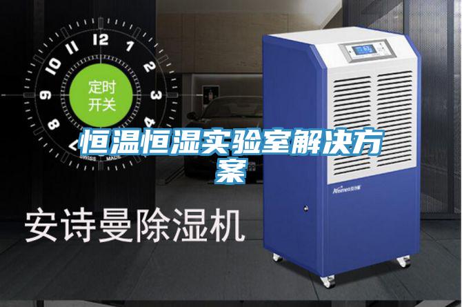 亚洲欧美一级特黄大片 恒温恒湿实验室解决方案