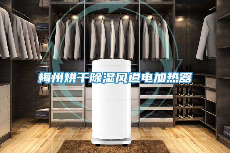 亚洲乱码一区二区三区 梅州烘干除湿风道电加热器