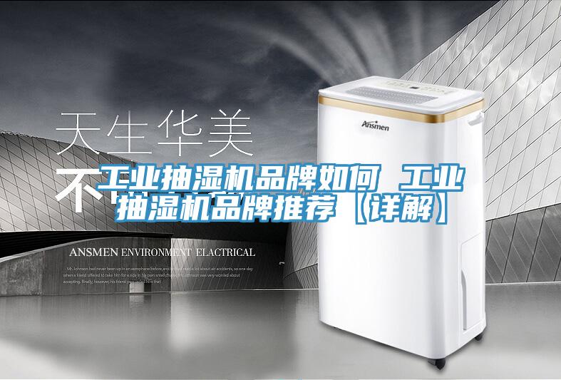 亚洲人成综合第一网站 工业抽湿机品牌如何 工业抽湿机品牌推荐【详解】