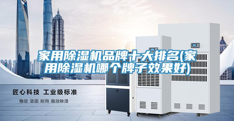 亚洲人成综合第一网站 家用除湿机品牌十大排名(家用除湿机哪个牌子效果好)