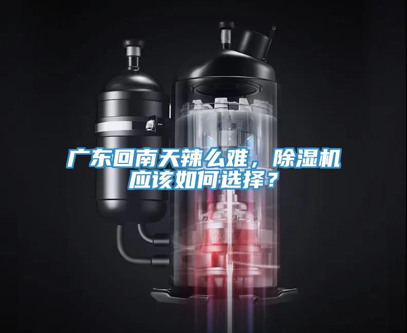 亚洲人成综合第一网站 广东回南天辣么难，除湿机应该如何选择？