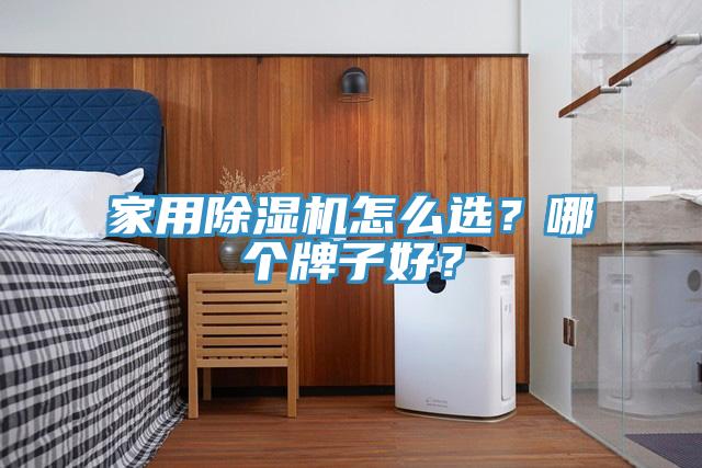 亚洲人成综合第一网站 家用除湿机怎么选？哪个牌子好？