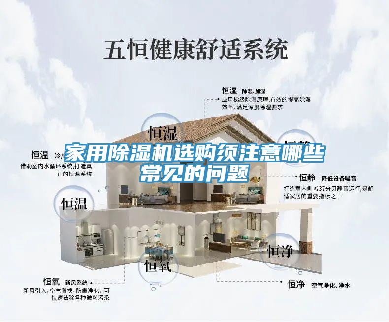 亚洲欧美一级特黄大片 家用除湿机选购须注意哪些常见的问题