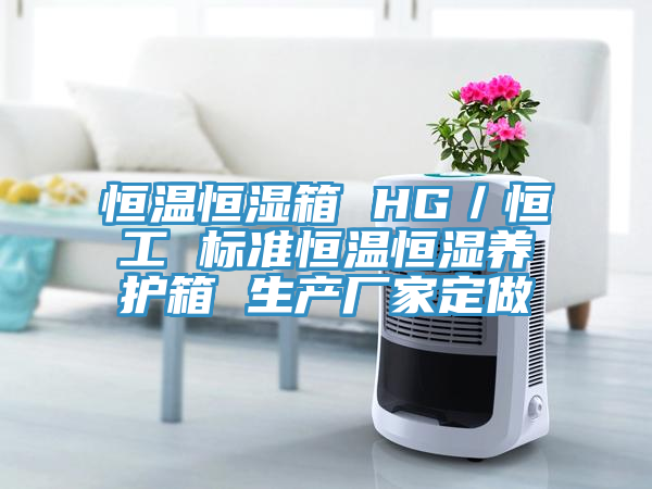 亚洲乱码一区二区三区 恒温恒湿箱 HG／恒工 标准恒温恒湿养护箱 生产厂家定做